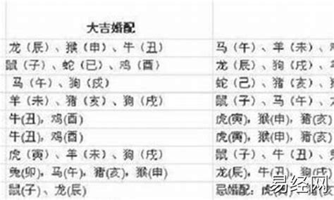 1997年属什么生肖|97年属什么 97年属什么命